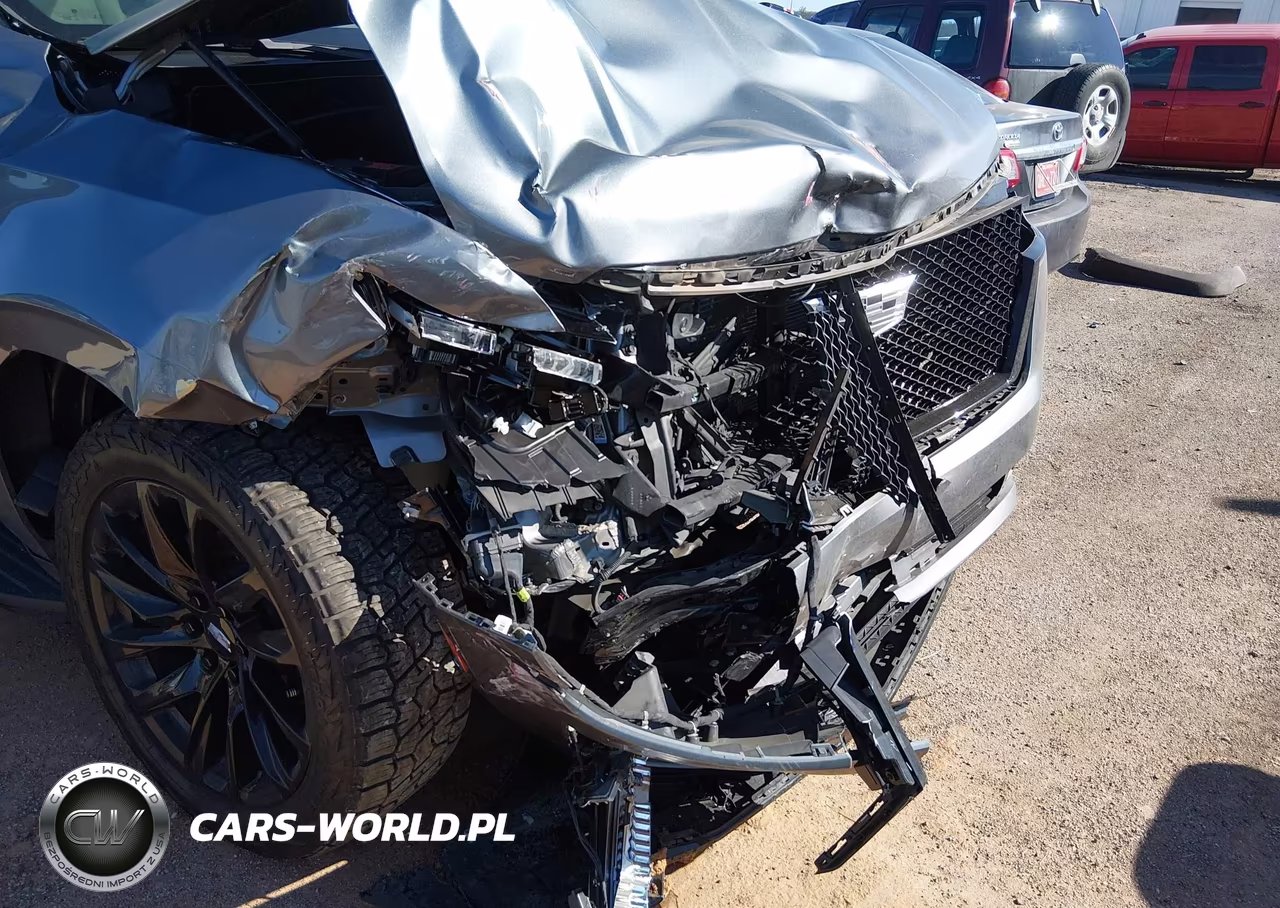 2022 Cadillac Escalade Esv 4Wd Sport Platinum VIN:1GYS4RKLXNR123164 - 12