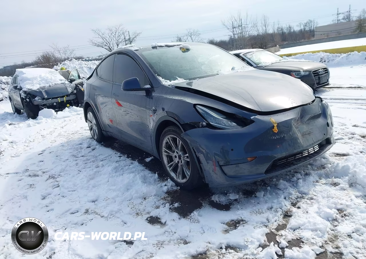 2020 Tesla Model Y Long Range Dual Motor All-Wheel Drive