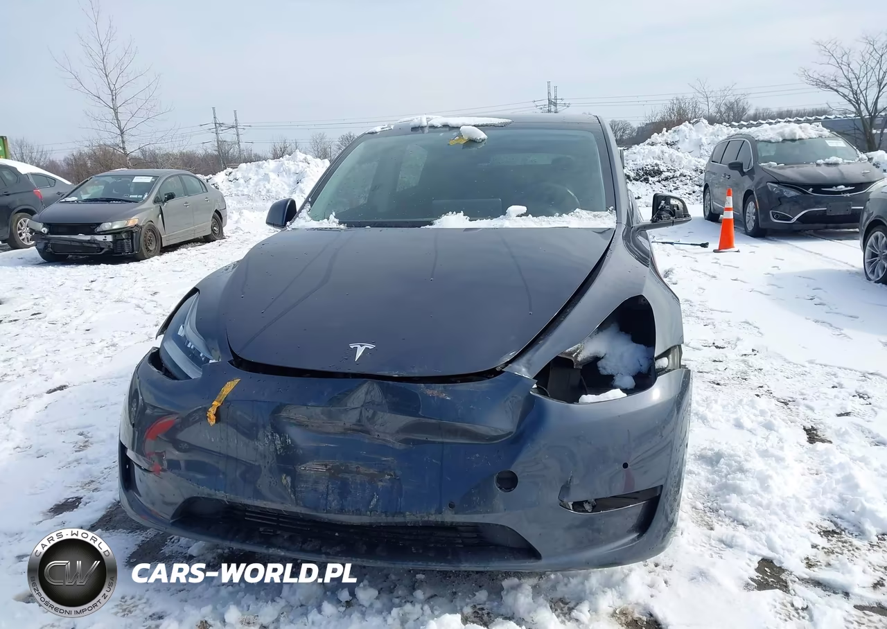 2020 Tesla Model Y Long Range Dual Motor All-Wheel Drive VIN:5YJYGDEE2LF030102 - 11