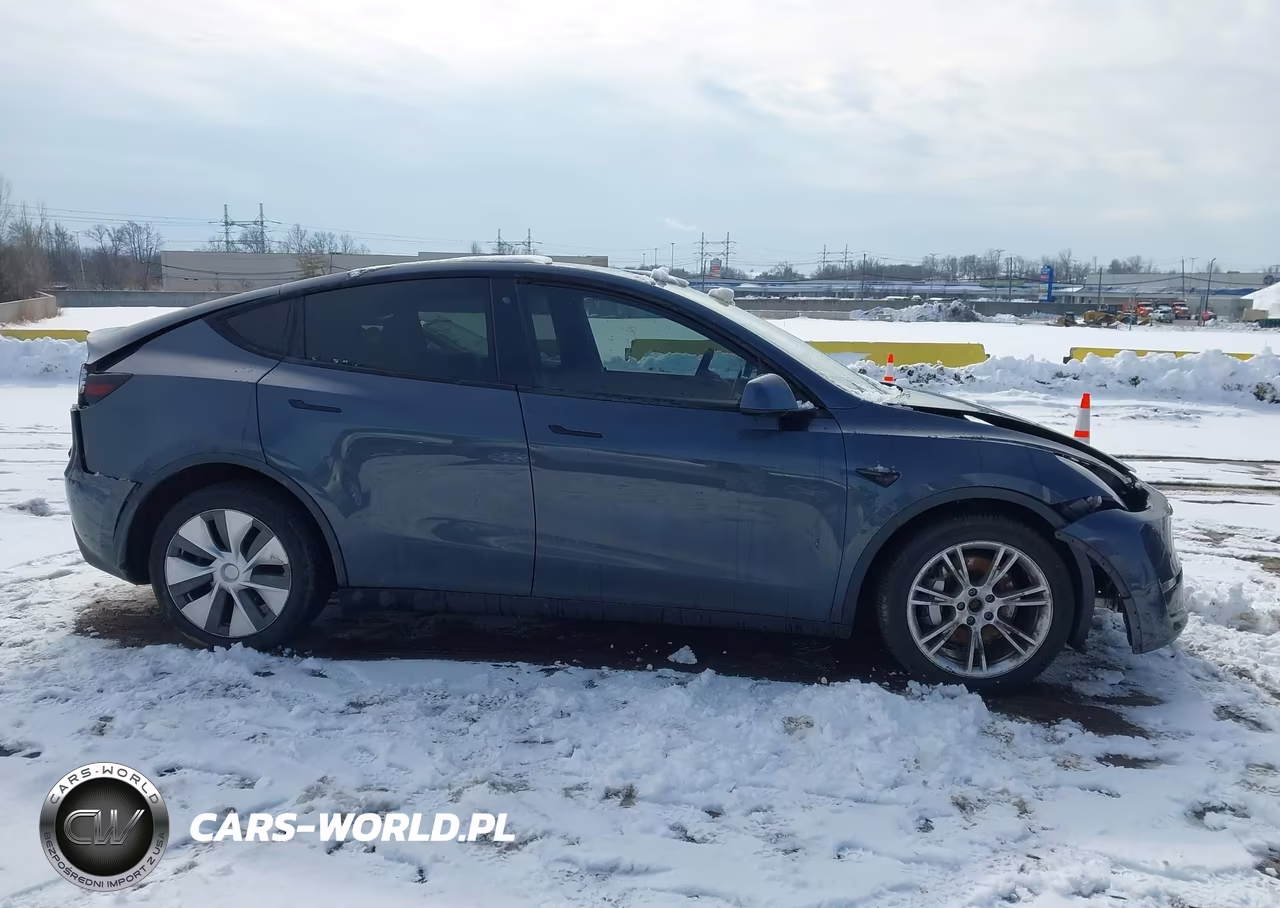 2020 Tesla Model Y Long Range Dual Motor All-Wheel Drive VIN:5YJYGDEE2LF030102 - 12