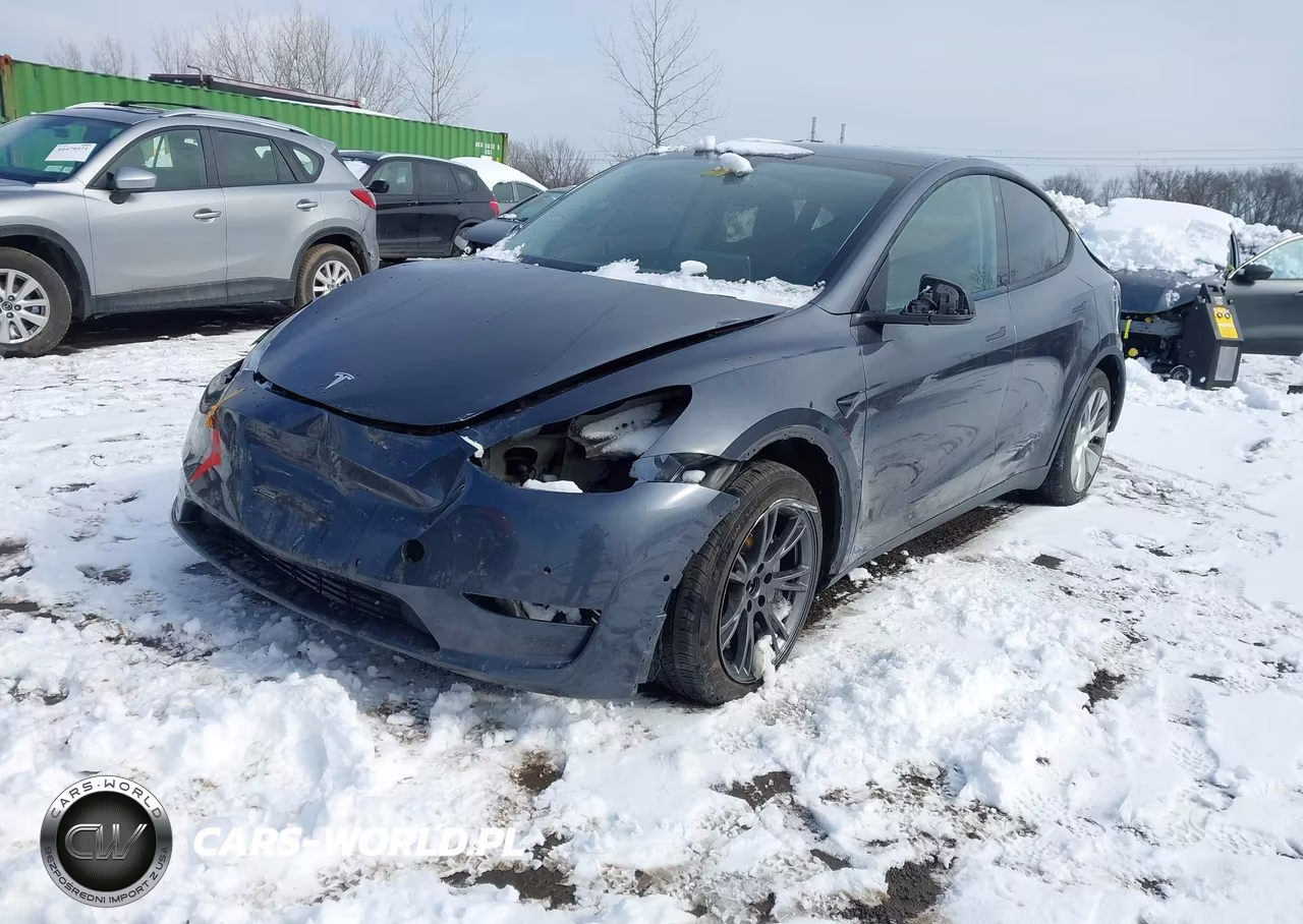 2020 Tesla Model Y Long Range Dual Motor All-Wheel Drive VIN:5YJYGDEE2LF030102 - 2