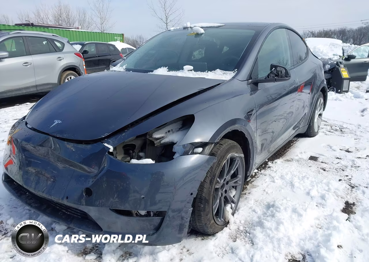 2020 Tesla Model Y Long Range Dual Motor All-Wheel Drive VIN:5YJYGDEE2LF030102 - 6