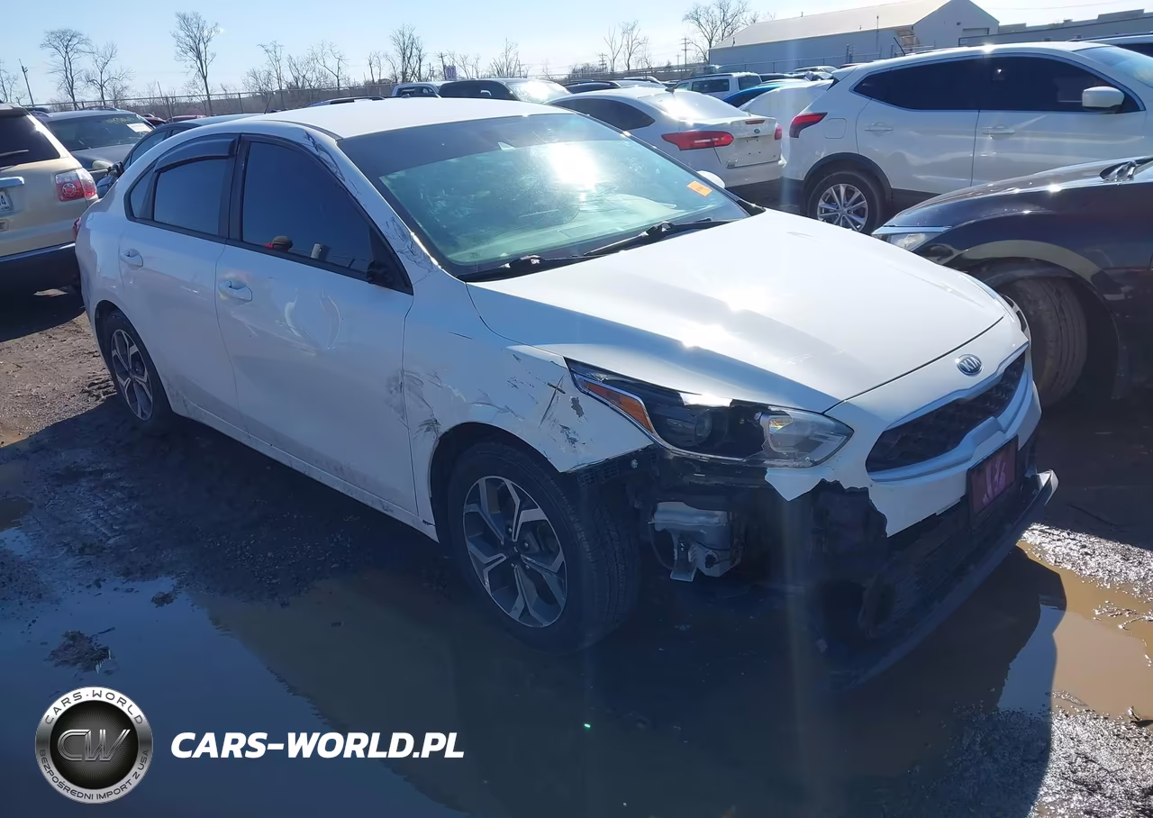 2019 Kia Forte Lxs