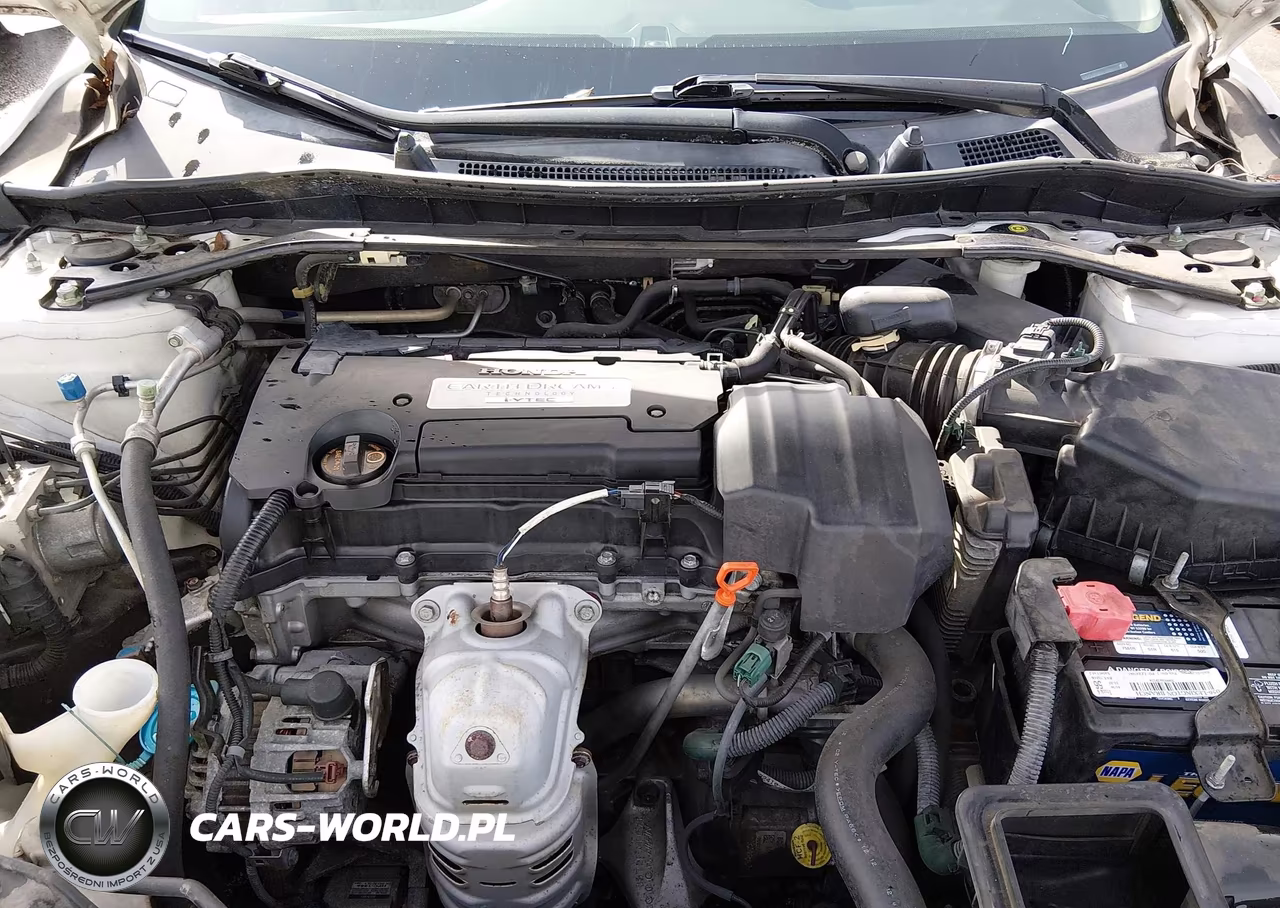 2013 Honda Accord Ex-L VIN:1HGCR2F84DA144521 - 10