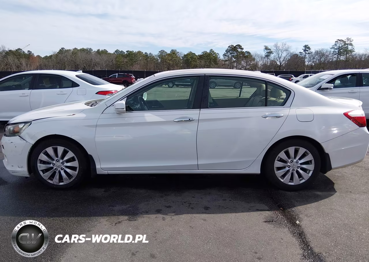 2013 Honda Accord Ex-L VIN:1HGCR2F84DA144521 - 14