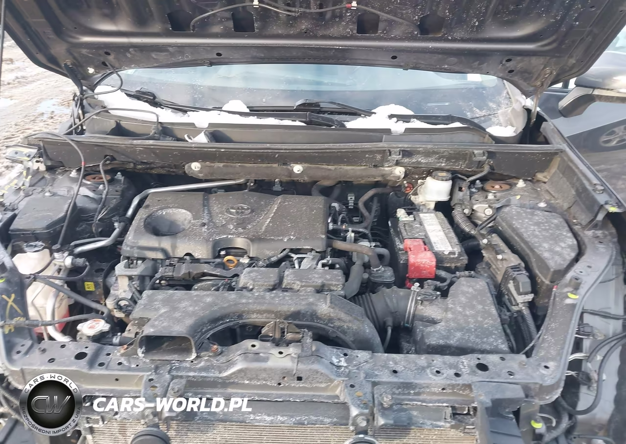 2019 Toyota Rav4 Xle VIN:2T3P1RFV3KW016176 - 10