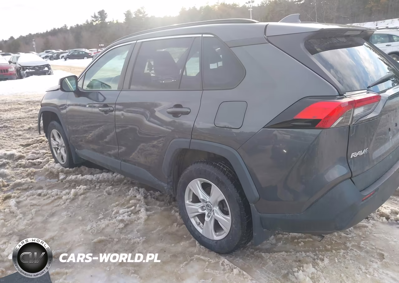 2019 Toyota Rav4 Xle VIN:2T3P1RFV3KW016176 - 3