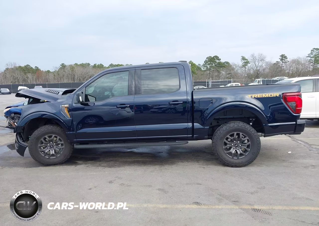 2025 Ford F-150 Tremor VIN:1FTFW4L52SFA92607 - 14