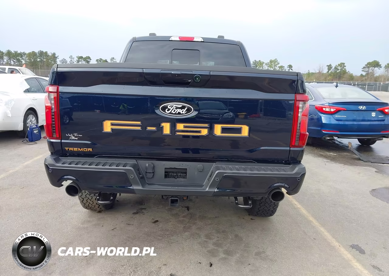 2025 Ford F-150 Tremor VIN:1FTFW4L52SFA92607 - 16