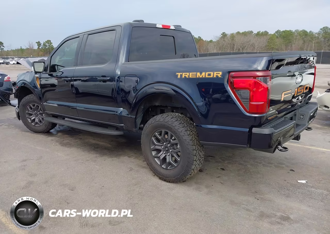 2025 Ford F-150 Tremor VIN:1FTFW4L52SFA92607 - 3