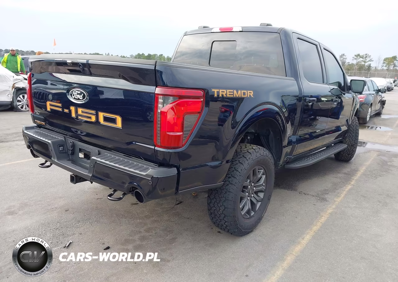2025 Ford F-150 Tremor VIN:1FTFW4L52SFA92607 - 4