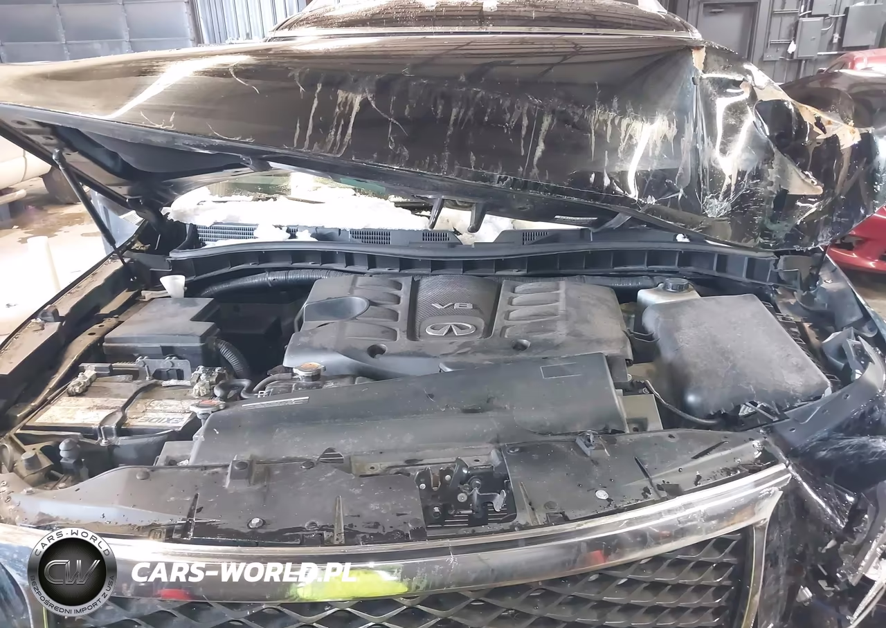 2017 Infiniti Qx80 VIN:JN8AZ2NE6H9155271 - 10