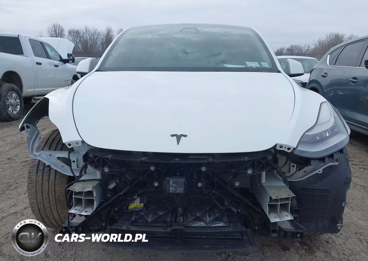 2020 Tesla Model Y Long Range Dual Motor All-Wheel Drive VIN:5YJYGDEE1LF034237 - 12