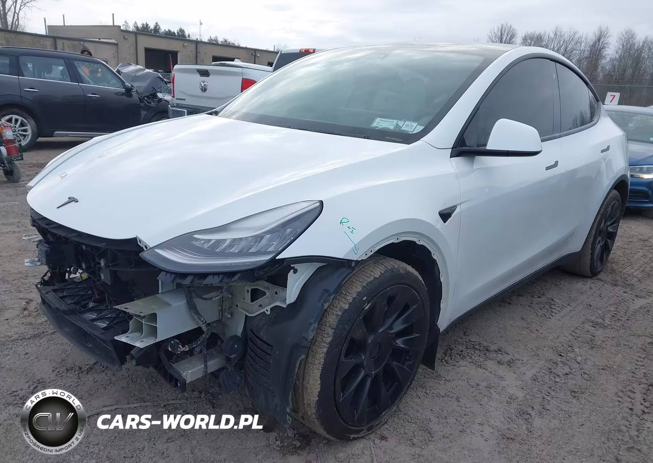 2020 Tesla Model Y Long Range Dual Motor All-Wheel Drive VIN:5YJYGDEE1LF034237 - 2
