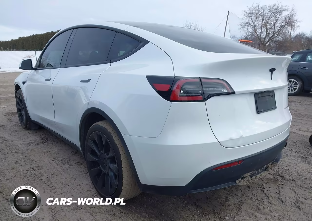 2020 Tesla Model Y Long Range Dual Motor All-Wheel Drive VIN:5YJYGDEE1LF034237 - 3