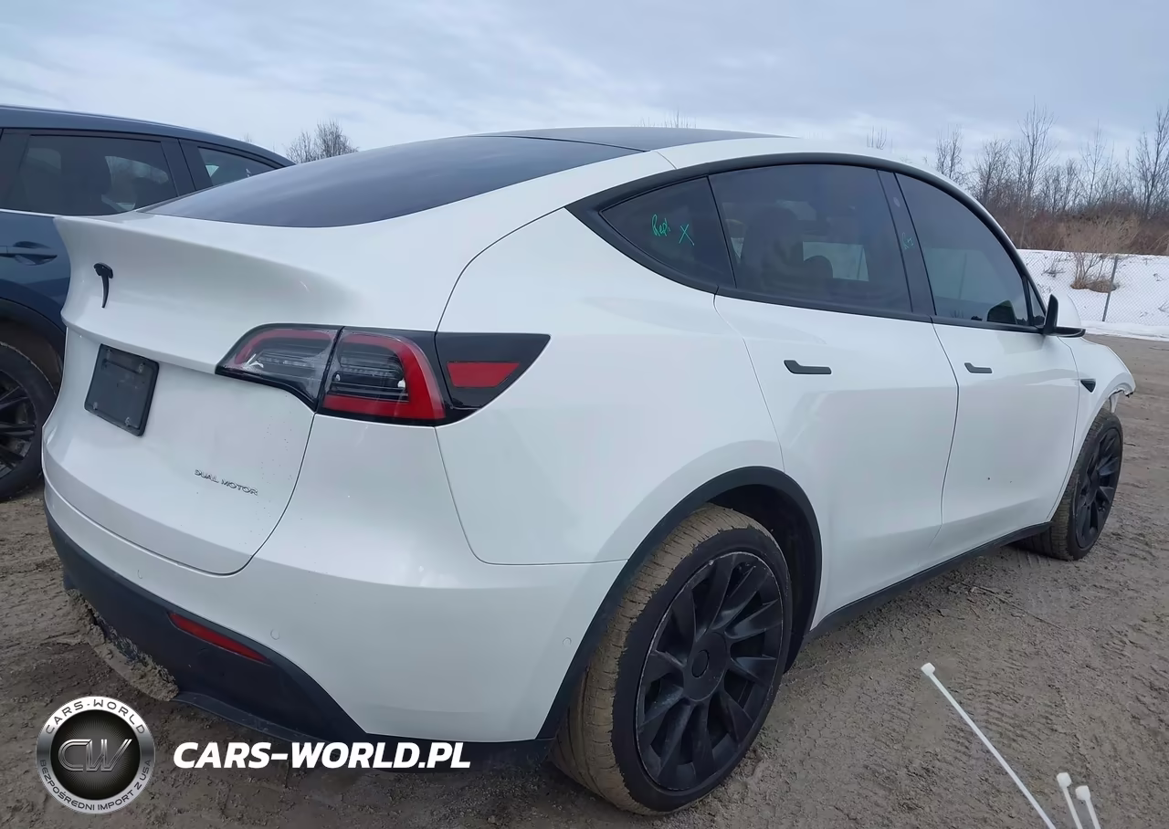 2020 Tesla Model Y Long Range Dual Motor All-Wheel Drive VIN:5YJYGDEE1LF034237 - 4