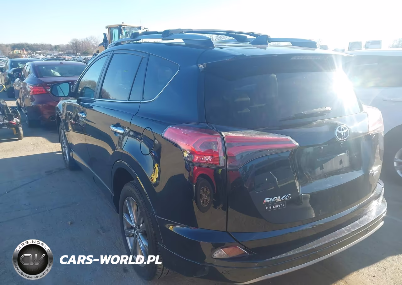 2017 Toyota Rav4 Platinum VIN:2T3DFREV6HW664674 - 3