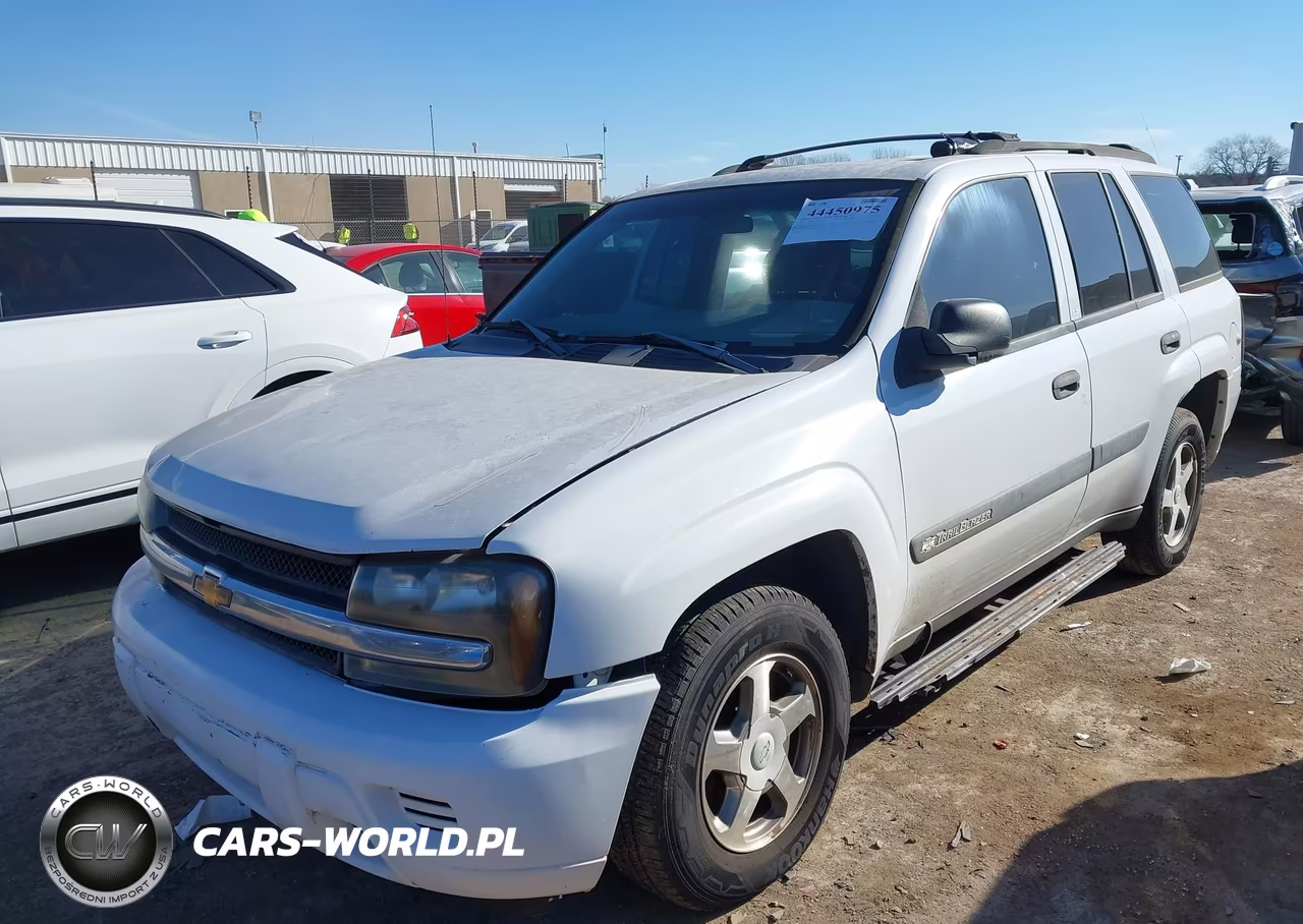 2004 Chevrolet Trailblazer Ls VIN:1GNDT13S642311347 - 2
