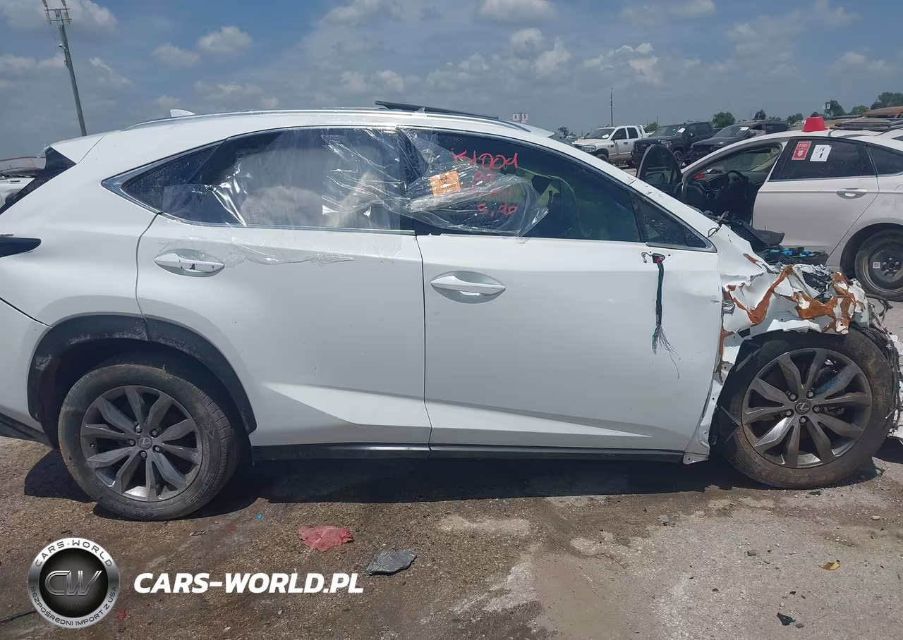 2020 Lexus Nx 300 F Sport VIN:JTJSARBZ0L5001546 - 12