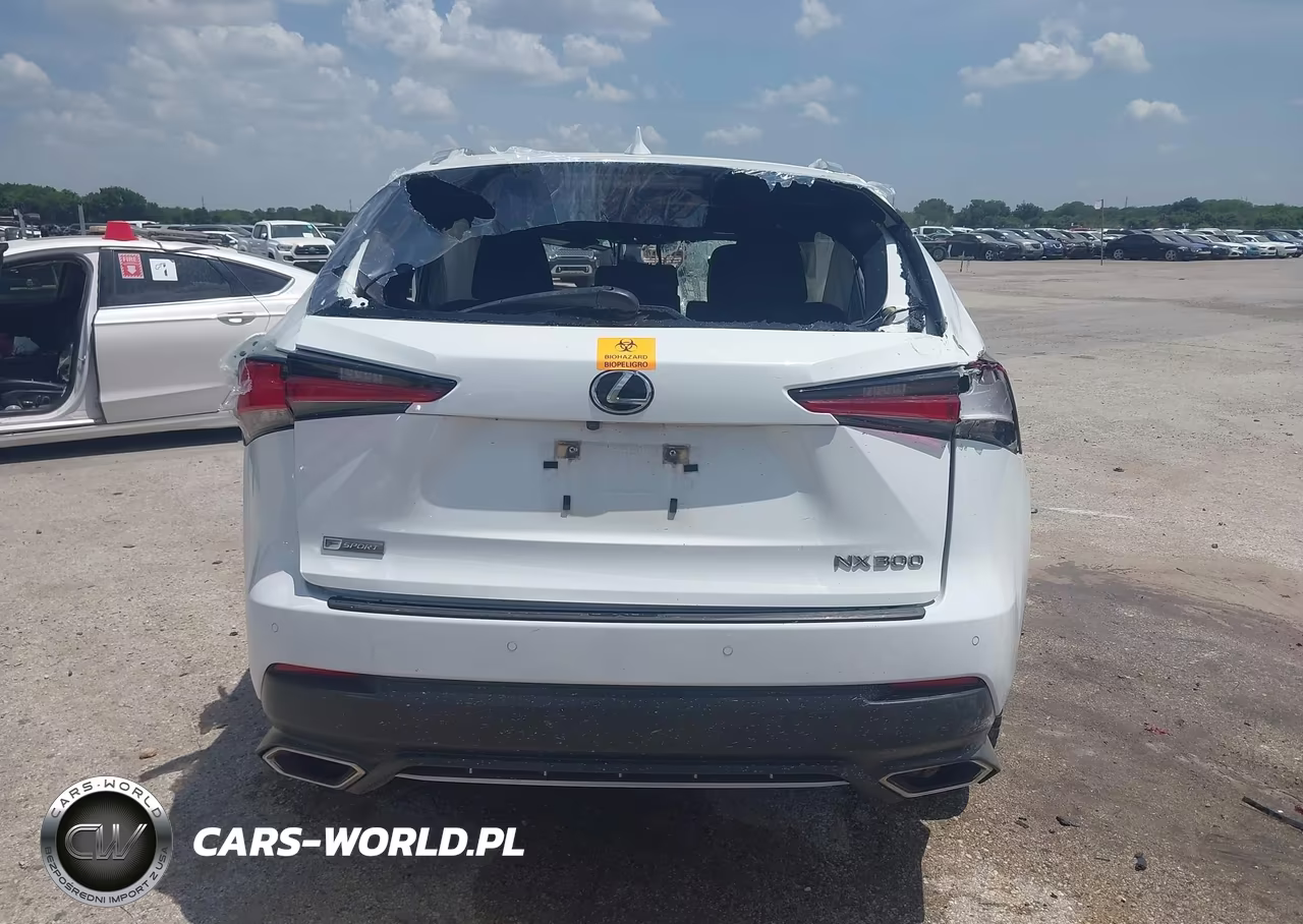 2020 Lexus Nx 300 F Sport VIN:JTJSARBZ0L5001546 - 15