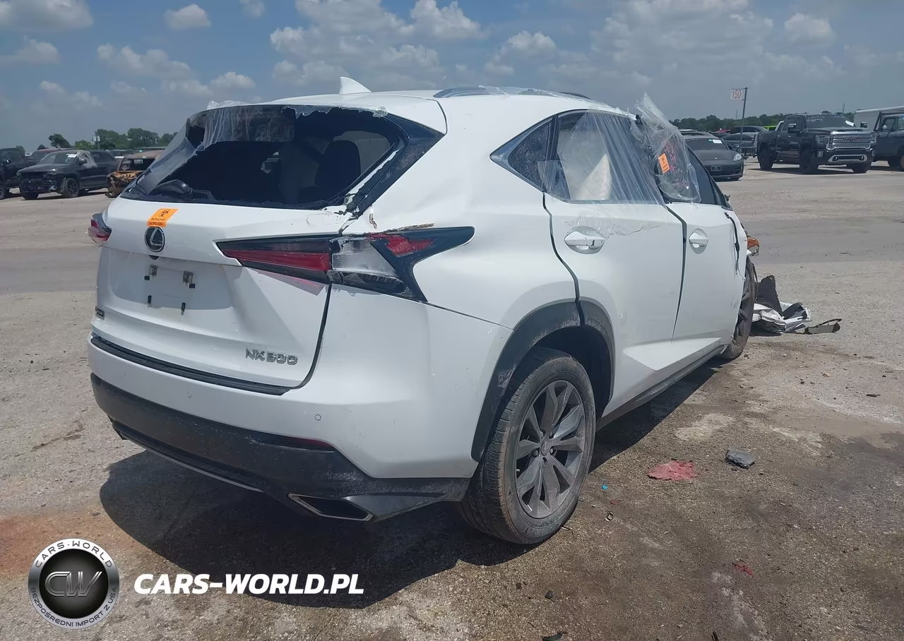 2020 Lexus Nx 300 F Sport VIN:JTJSARBZ0L5001546 - 4