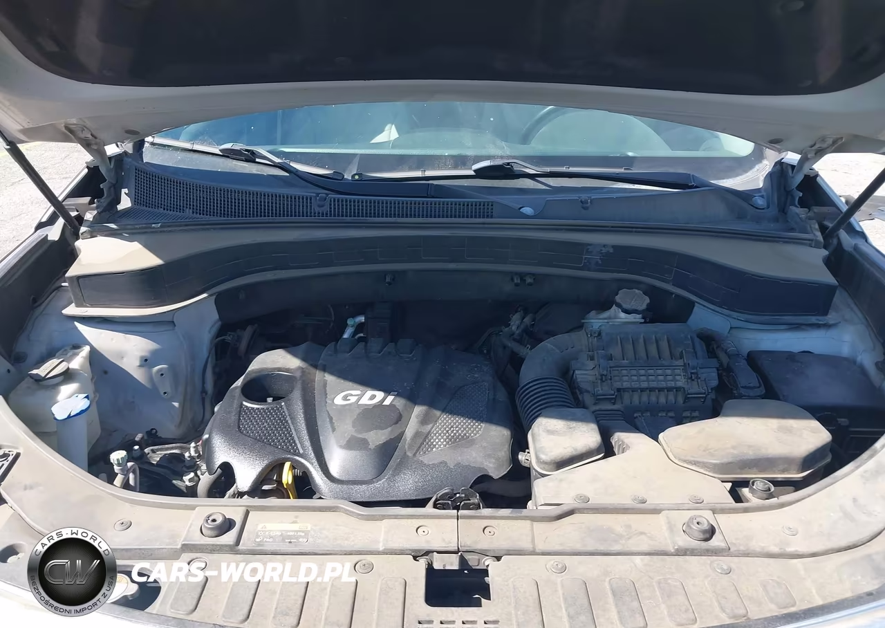 2014 Kia Sorento Lx VIN:5XYKT3A66EG450841 - 10