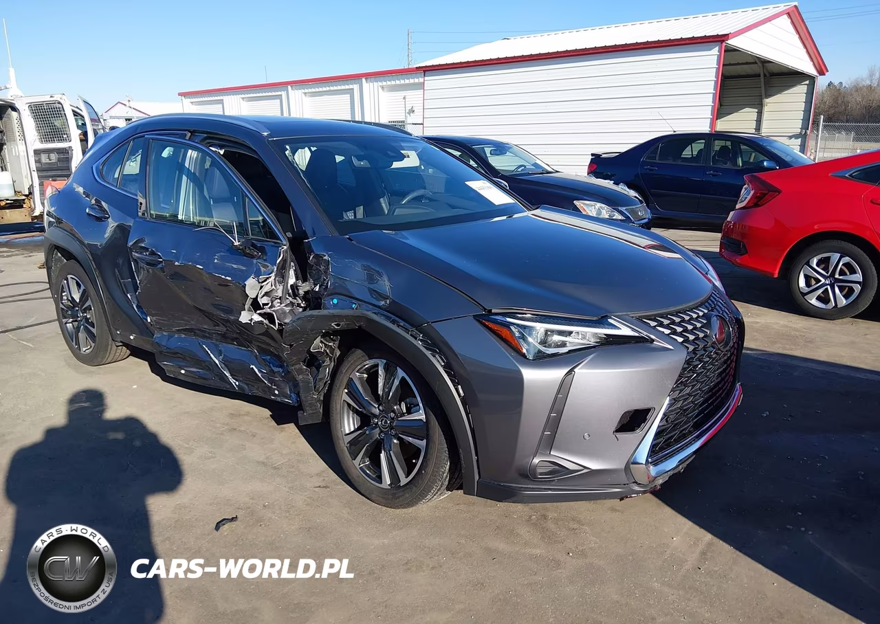2019 Lexus Ux 200