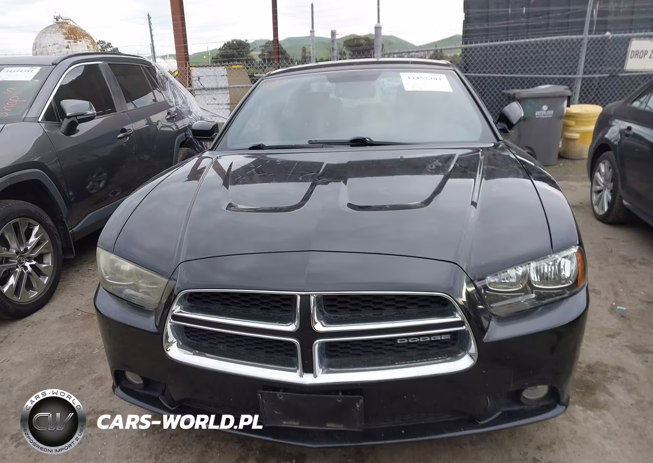 2012 Dodge Charger Sxt VIN:2C3CDXHG9CH174374 - 12