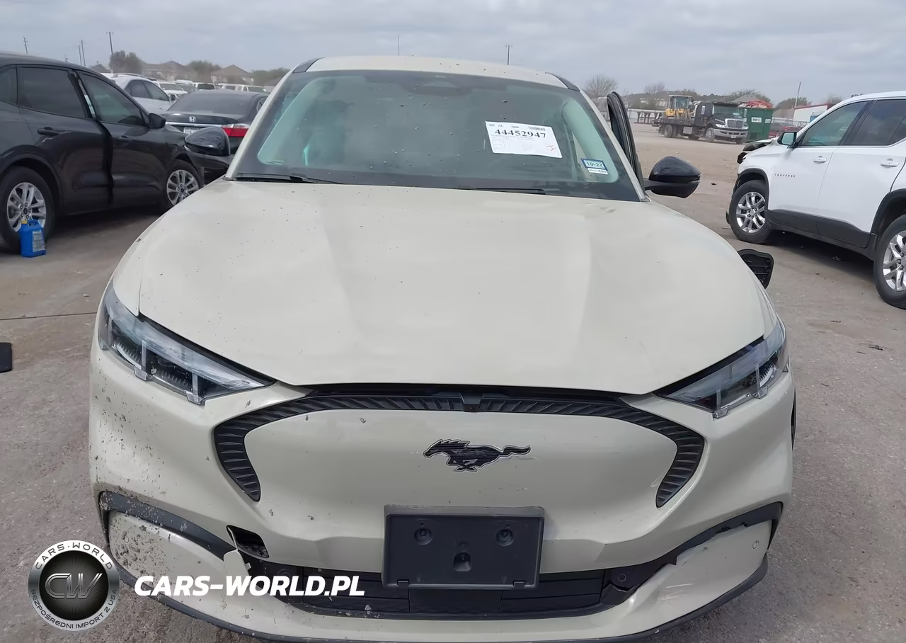 2025 Ford Mustang Mach-E Select VIN:3FMTK1R42SMA49022 - 12