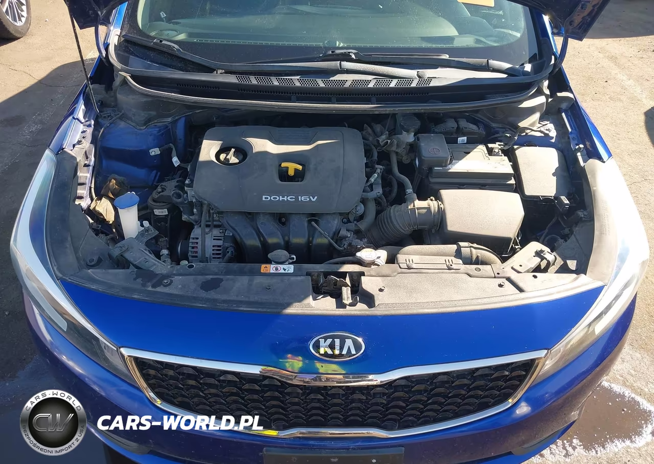 2017 Kia Forte Lx VIN:3KPFK4A72HE068083 - 10
