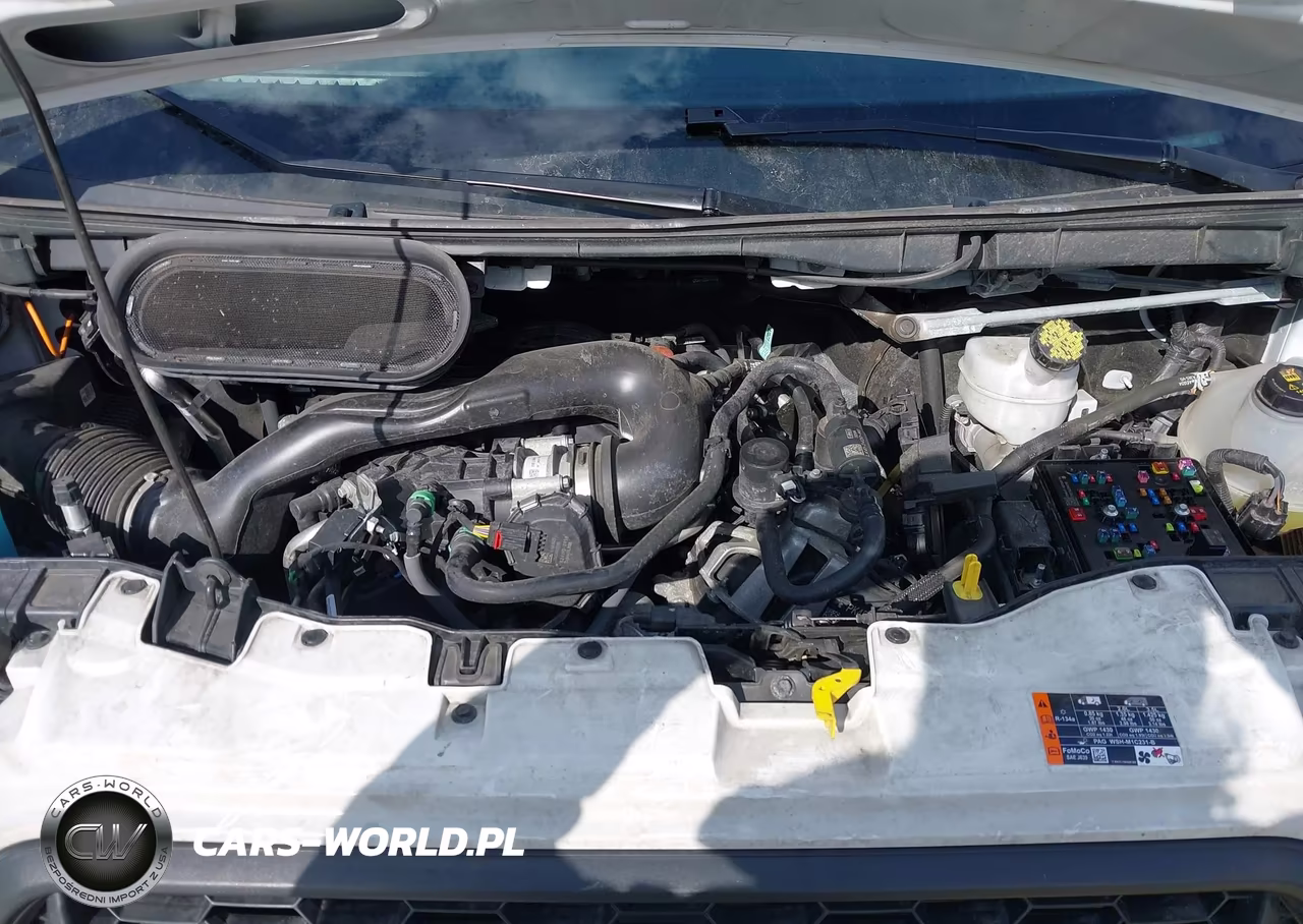 2024 Ford Transit-150 VIN:1FTYE1Y86RKB84222 - 10
