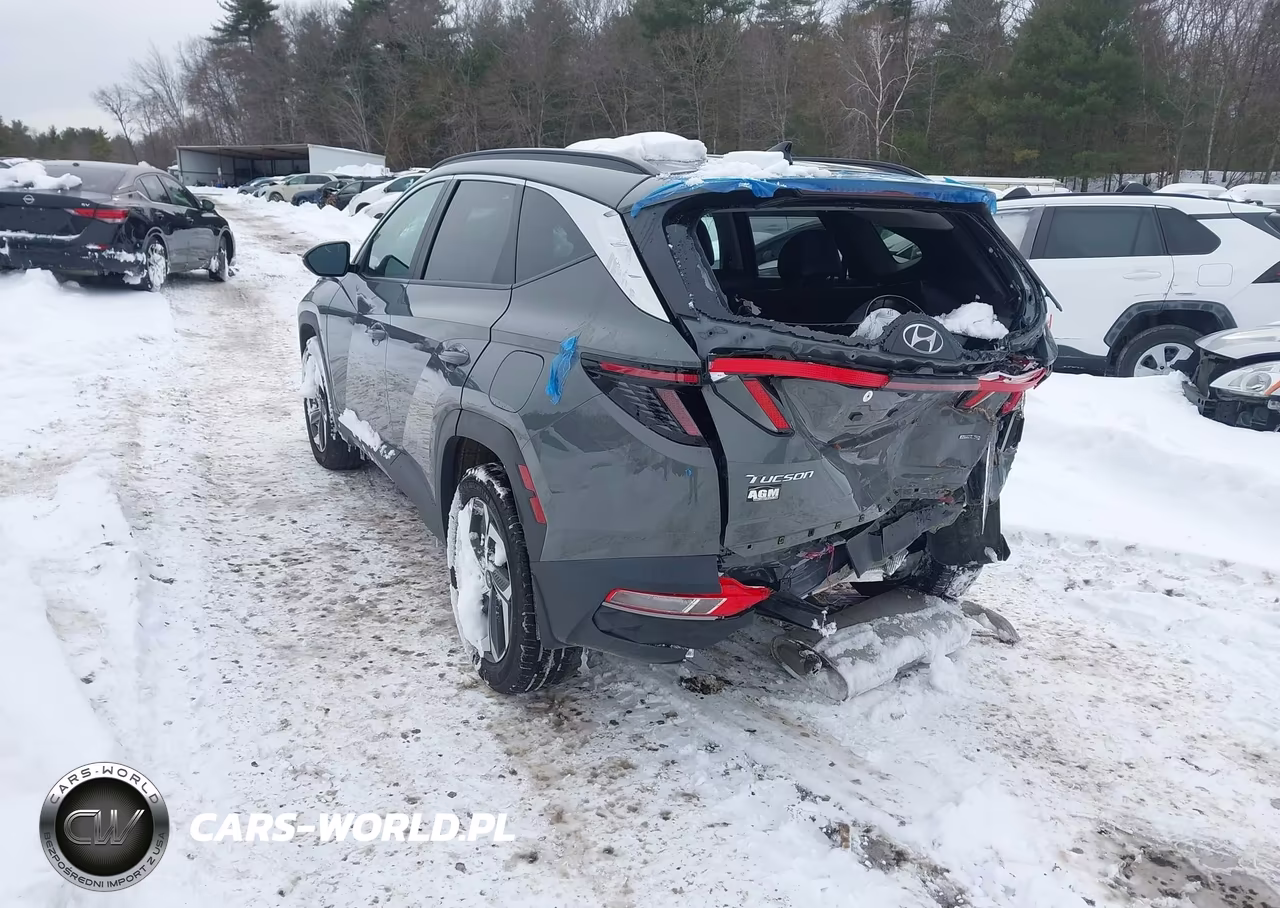 2024 Hyundai Tucson Sel VIN:5NMJFCDE0RH342264 - 3