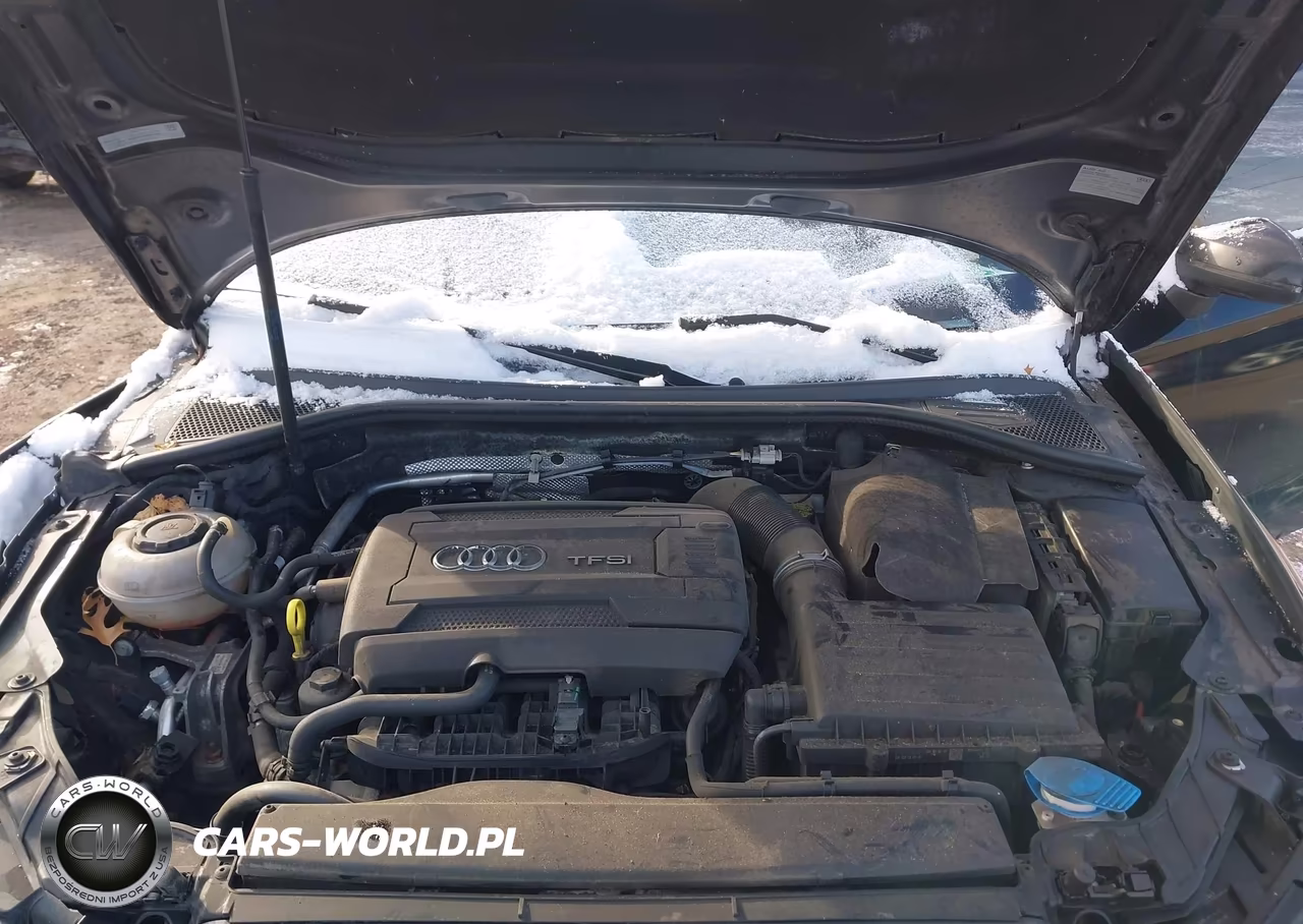 2018 Audi A3 2.0T Premium-2.0T Tech Premium VIN:WAUB8GFFXJ1021291 - 10