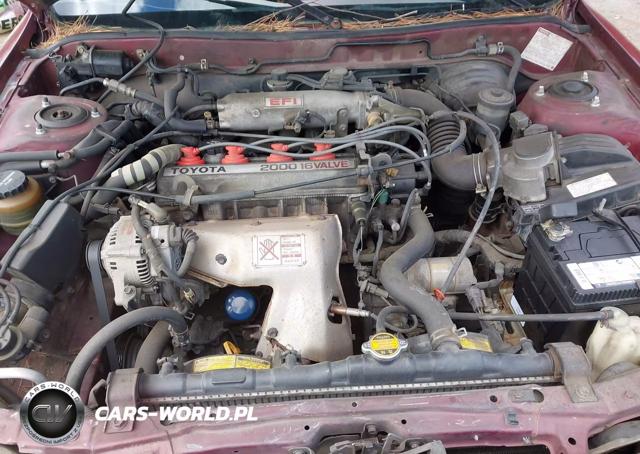 1991 Toyota Camry Dlx VIN:4T1SV21E9MU398433 - 10
