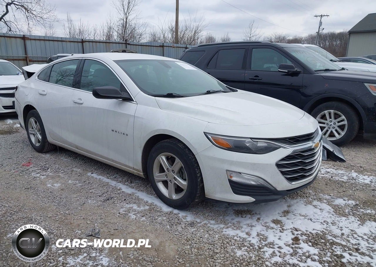 2019 Chevrolet Malibu 1Ls