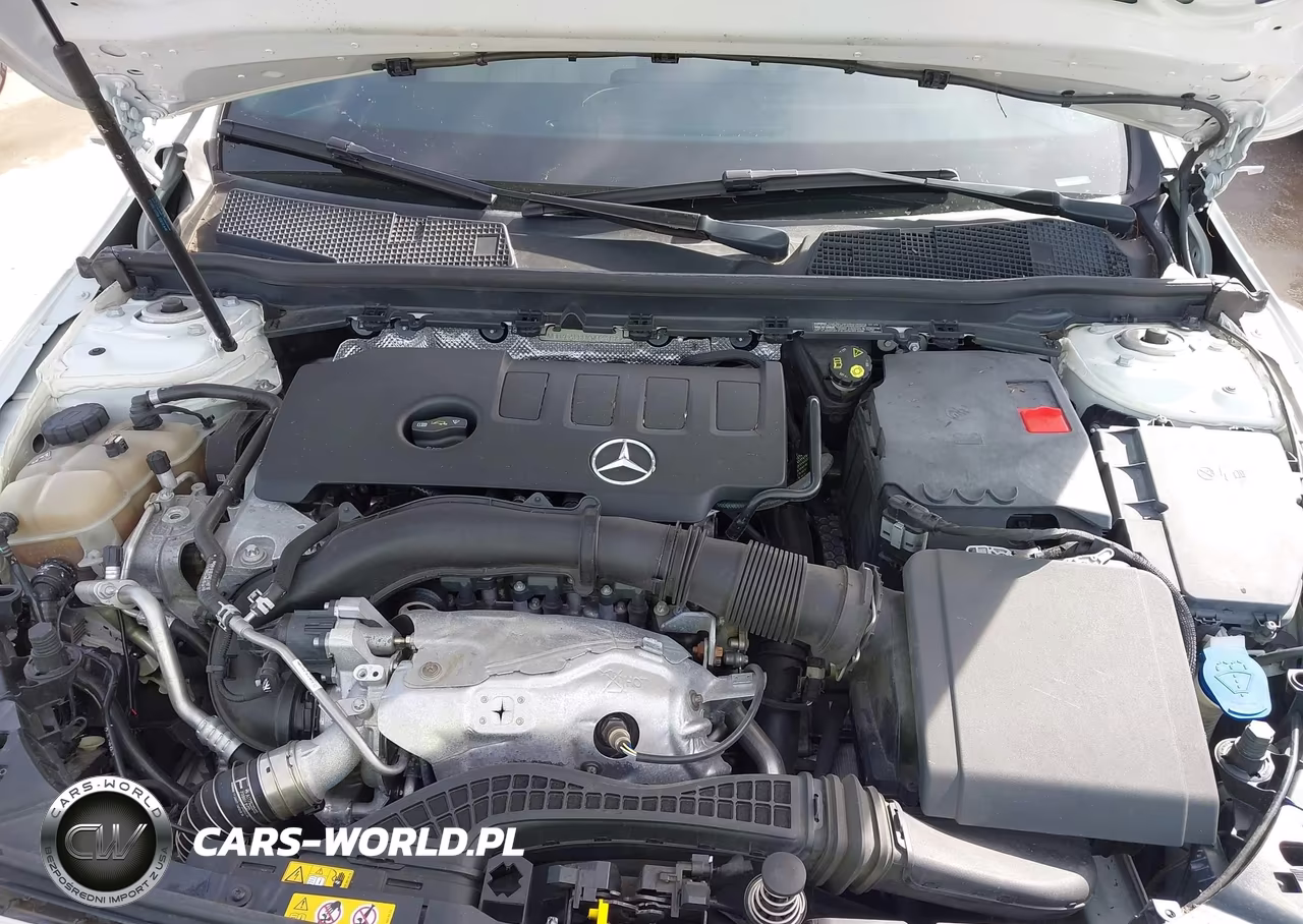 2019 Mercedes-Benz A 220 VIN:WDD3G4EB0KW023195 - 10