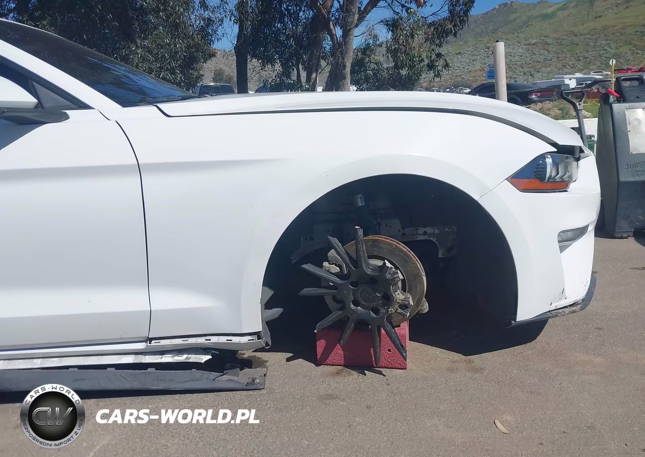 2019 Ford Mustang Ecoboost Premium VIN:1FA6P8TH9K5186431 - 11
