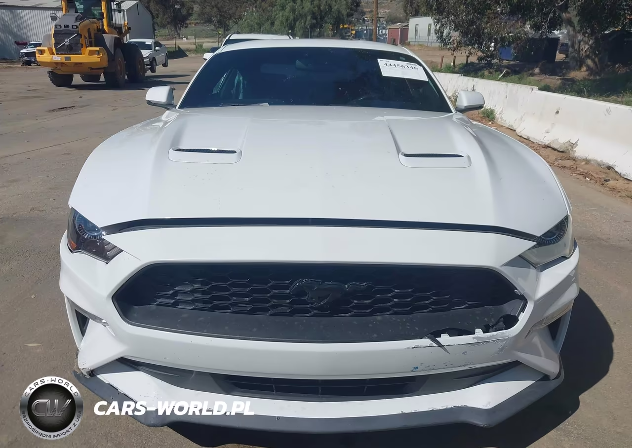 2019 Ford Mustang Ecoboost Premium VIN:1FA6P8TH9K5186431 - 12