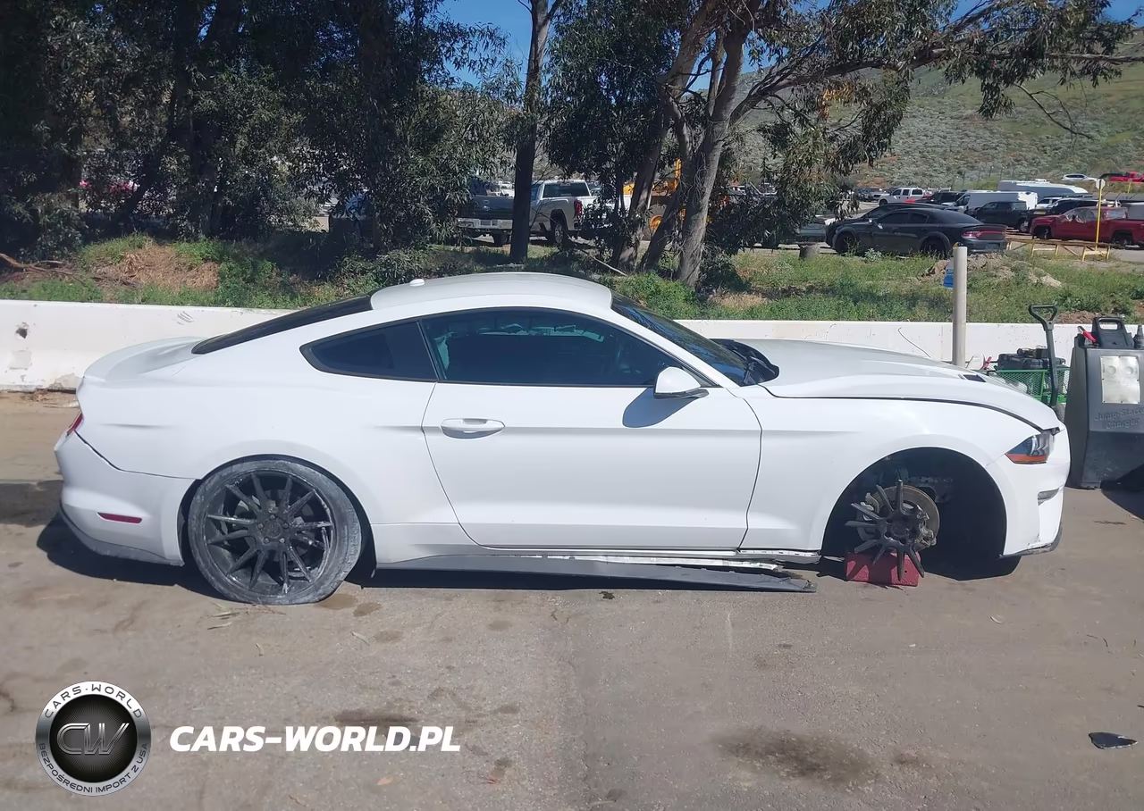 2019 Ford Mustang Ecoboost Premium VIN:1FA6P8TH9K5186431 - 13