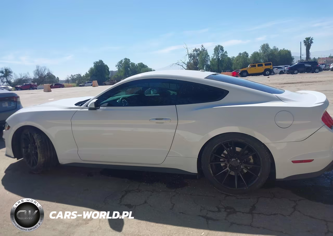 2019 Ford Mustang Ecoboost Premium VIN:1FA6P8TH9K5186431 - 14