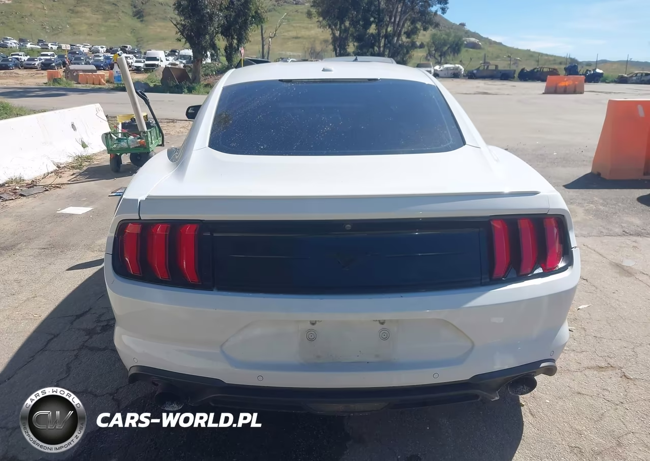 2019 Ford Mustang Ecoboost Premium VIN:1FA6P8TH9K5186431 - 16