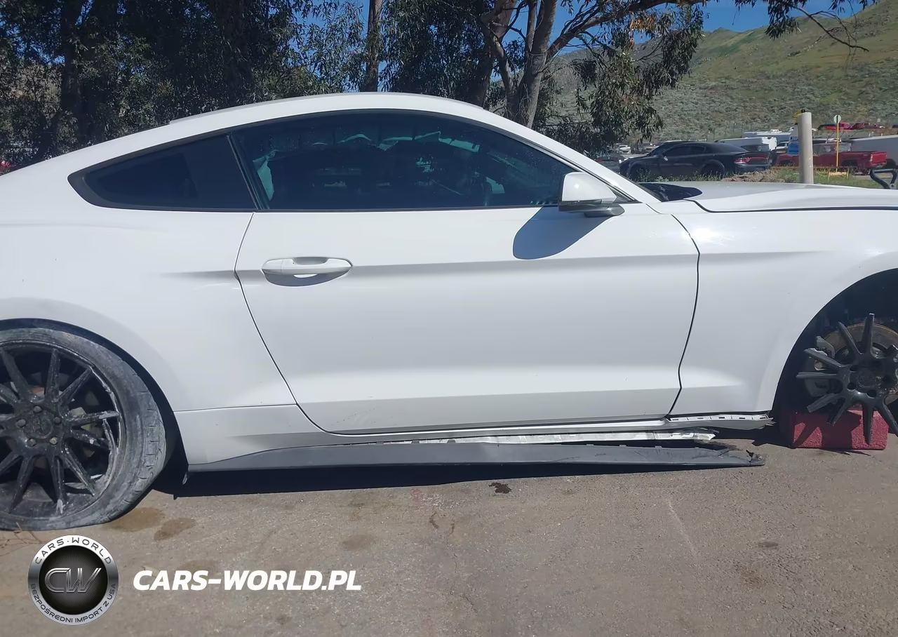 2019 Ford Mustang Ecoboost Premium VIN:1FA6P8TH9K5186431 - 17