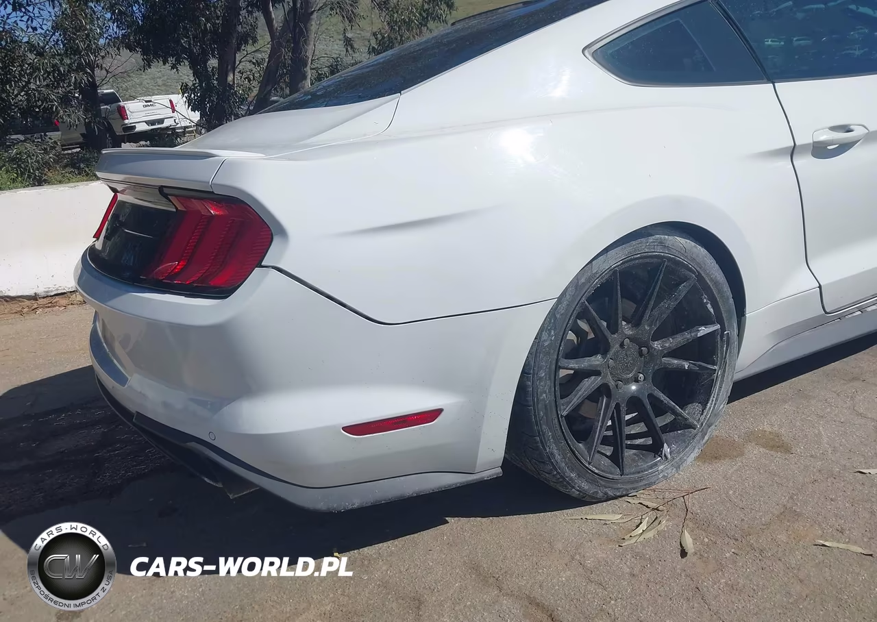 2019 Ford Mustang Ecoboost Premium VIN:1FA6P8TH9K5186431 - 18