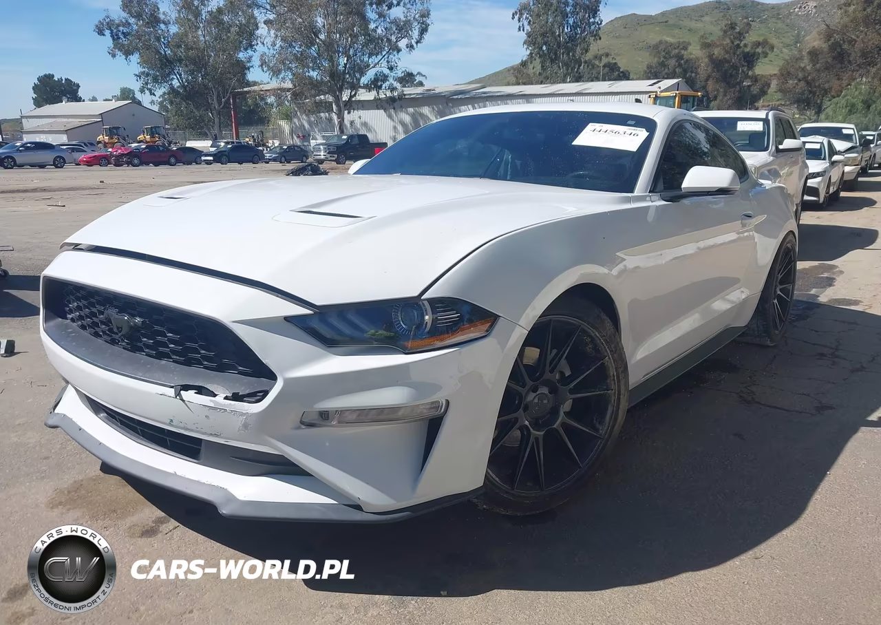 2019 Ford Mustang Ecoboost Premium VIN:1FA6P8TH9K5186431 - 2