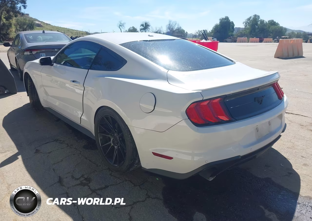 2019 Ford Mustang Ecoboost Premium VIN:1FA6P8TH9K5186431 - 3