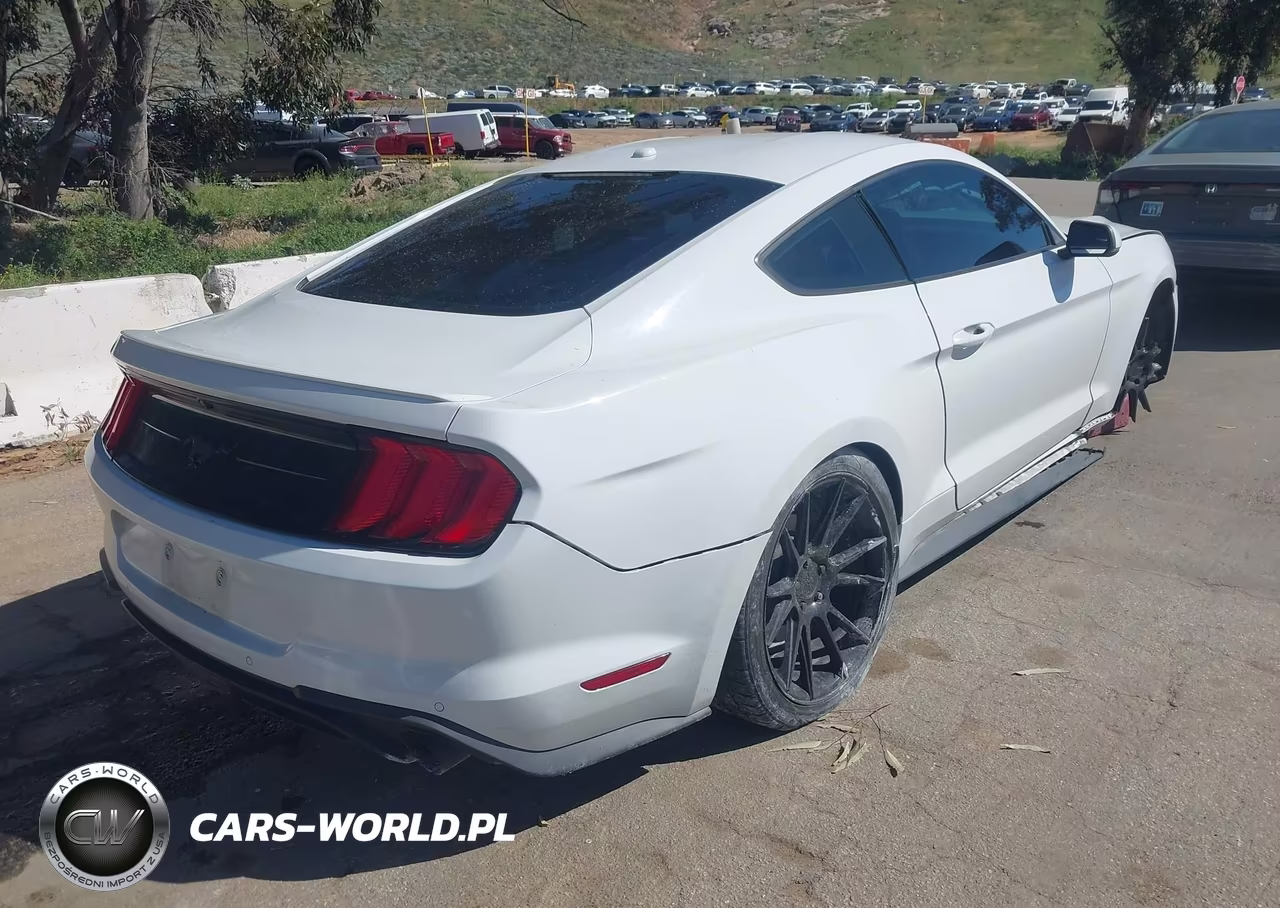 2019 Ford Mustang Ecoboost Premium VIN:1FA6P8TH9K5186431 - 4