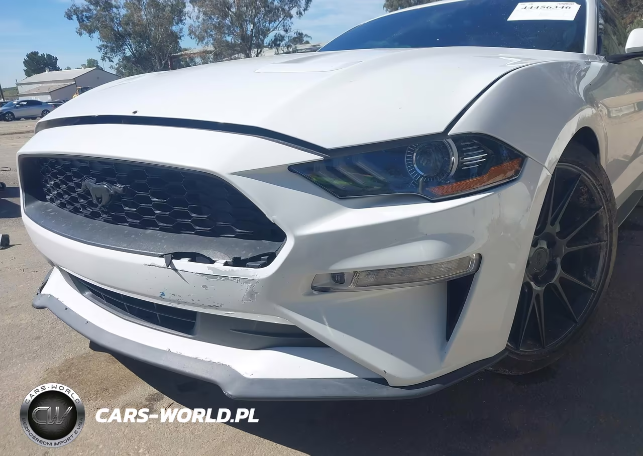 2019 Ford Mustang Ecoboost Premium VIN:1FA6P8TH9K5186431 - 6