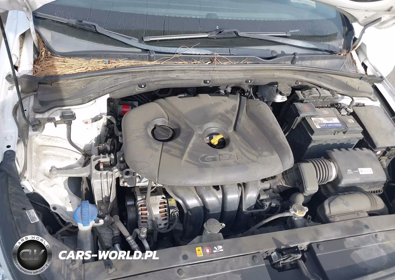 2019 Hyundai Elantra Gt VIN:KMHH35LEXKU088710 - 10