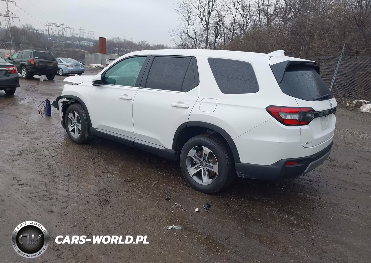 2025 Honda Pilot Ex-L VIN:5FNYG1H42SB108782 - 3