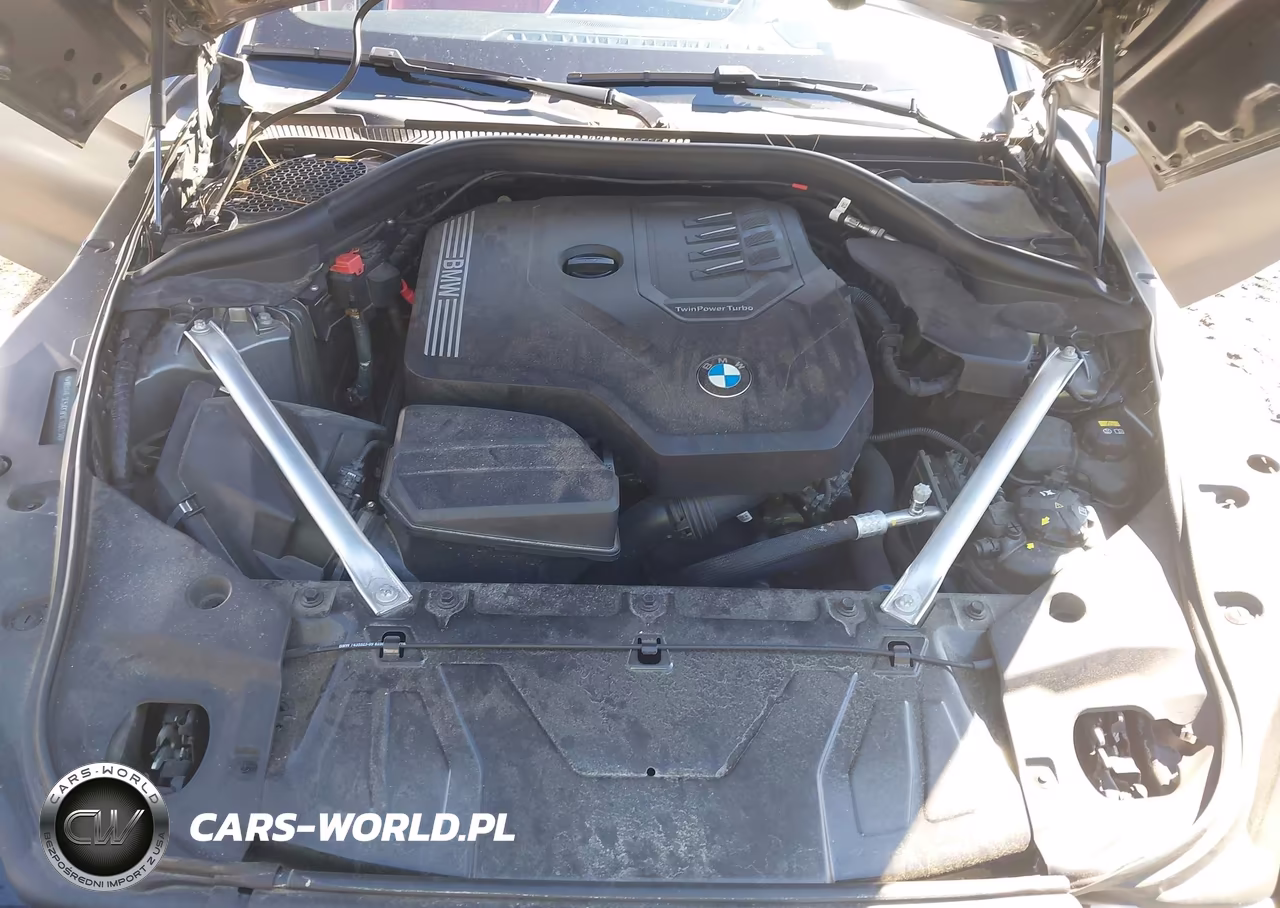 2019 BMW Z4 Sdrive30I VIN:WBAHF3C5XKWW39803 - 10